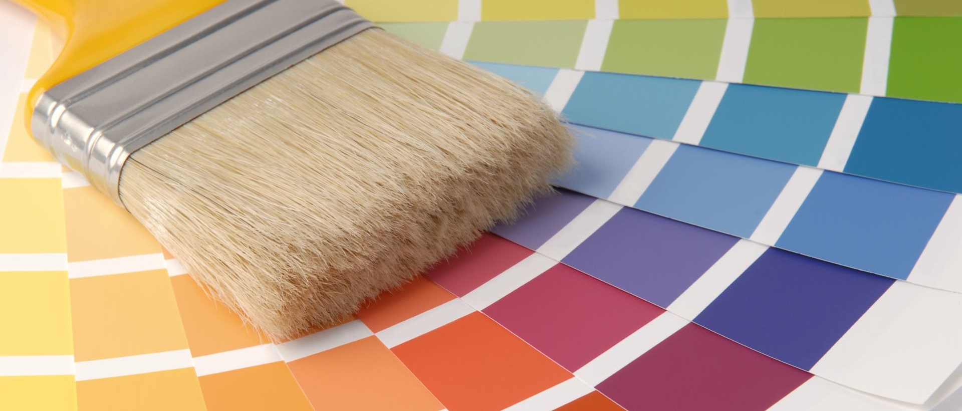 Painter SE7